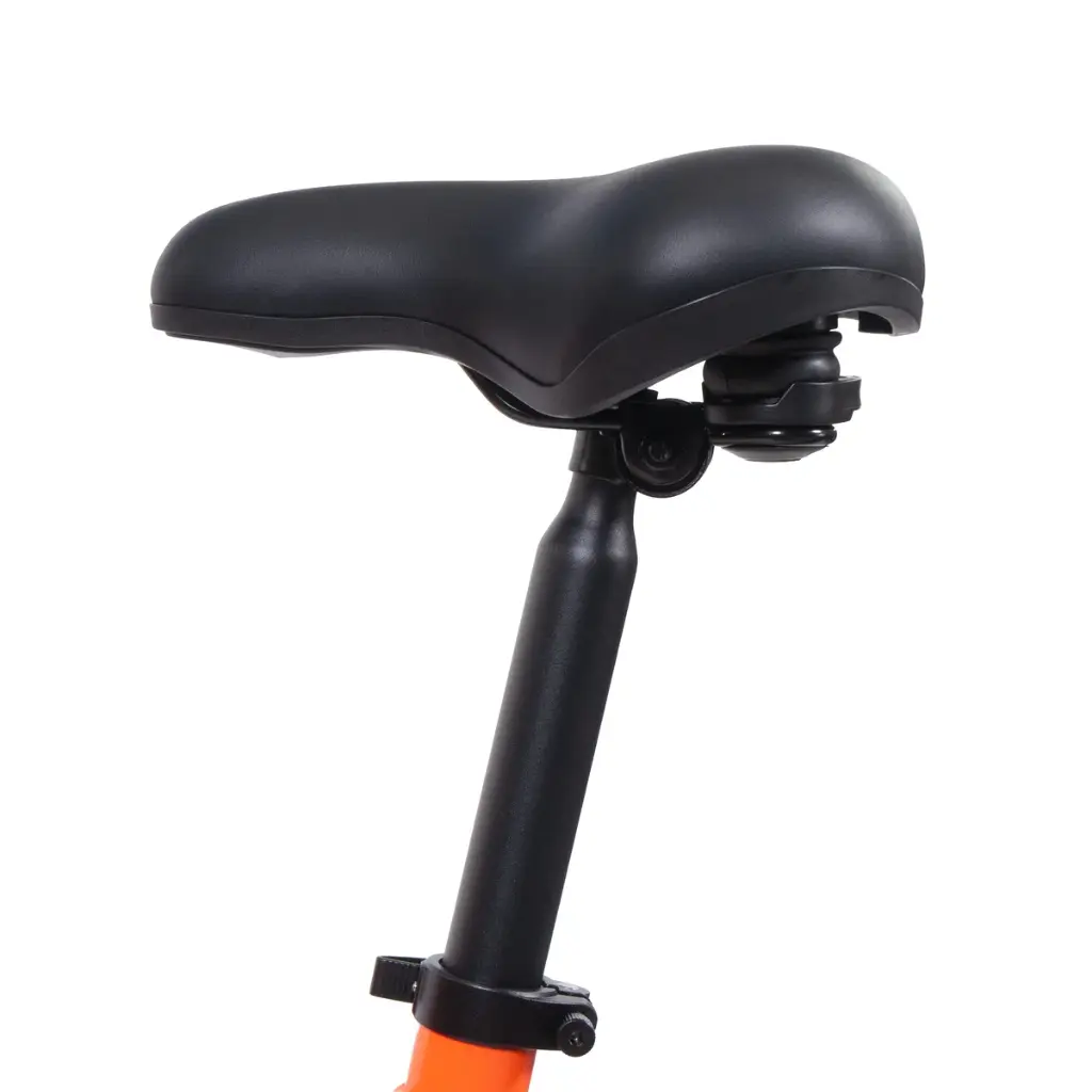 SWFT OD20 Fat Bike Eléctrica Plegable 250W 48V 13Ah | Hasta 120Km