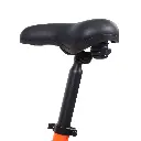 SWFT OD20 Fat Bike Eléctrica Plegable 250W 48V 13Ah | Hasta 120Km