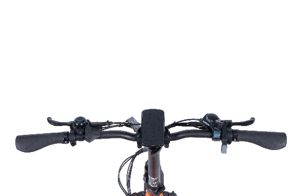 SWFT OC20 Fat Bike Eléctrica 250W 48V 13Ah | Hasta 120Km